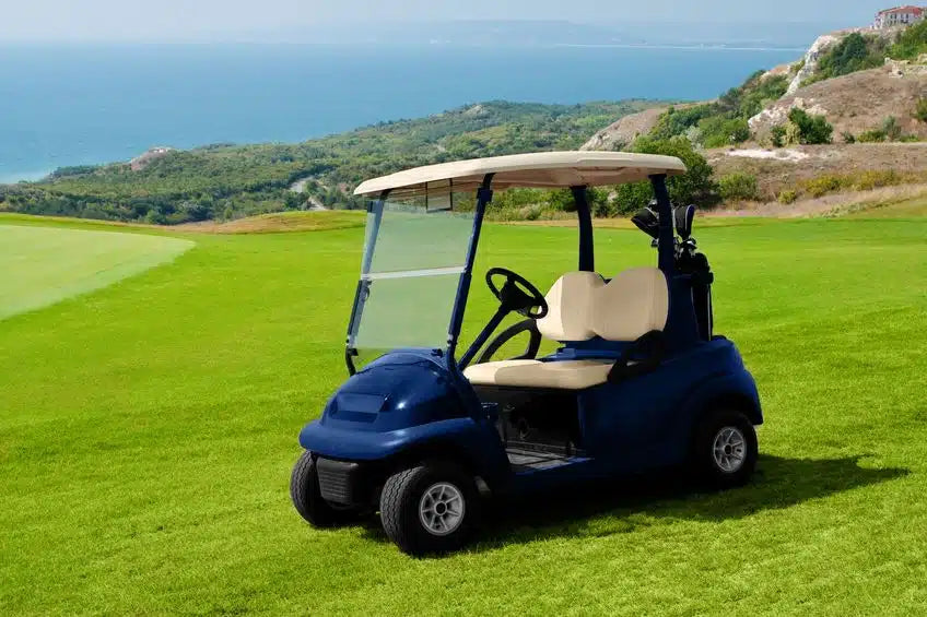 golf cart batteries